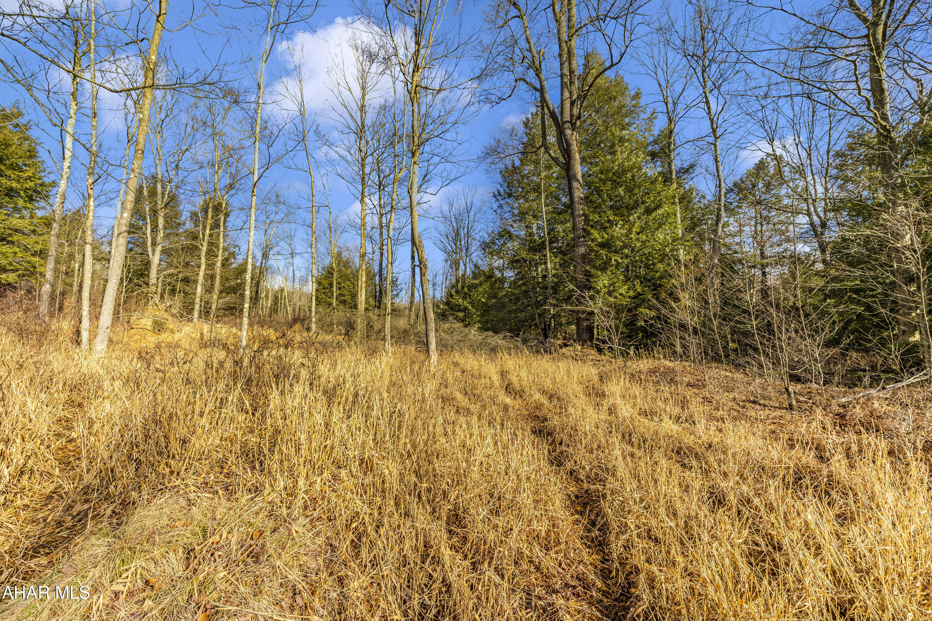 0 Lot 6 Mountain Road Road Lilly, PA 15938 - Photo 18 of 33