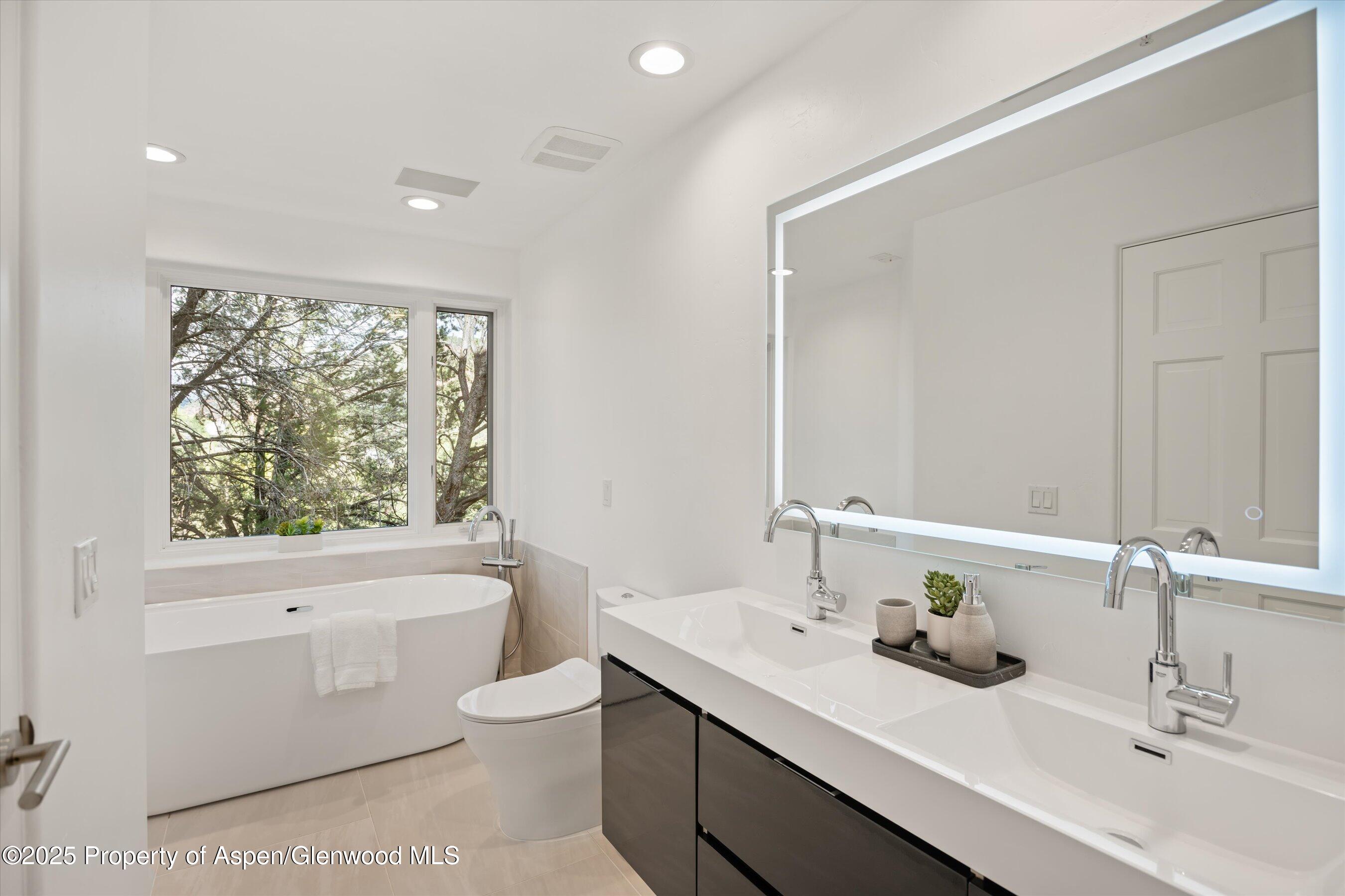 302 Wild Spring Lane Basalt, CO 81621 - Photo 15 of 28 a bathroom with a toilet a sink a mirror a window and vanity