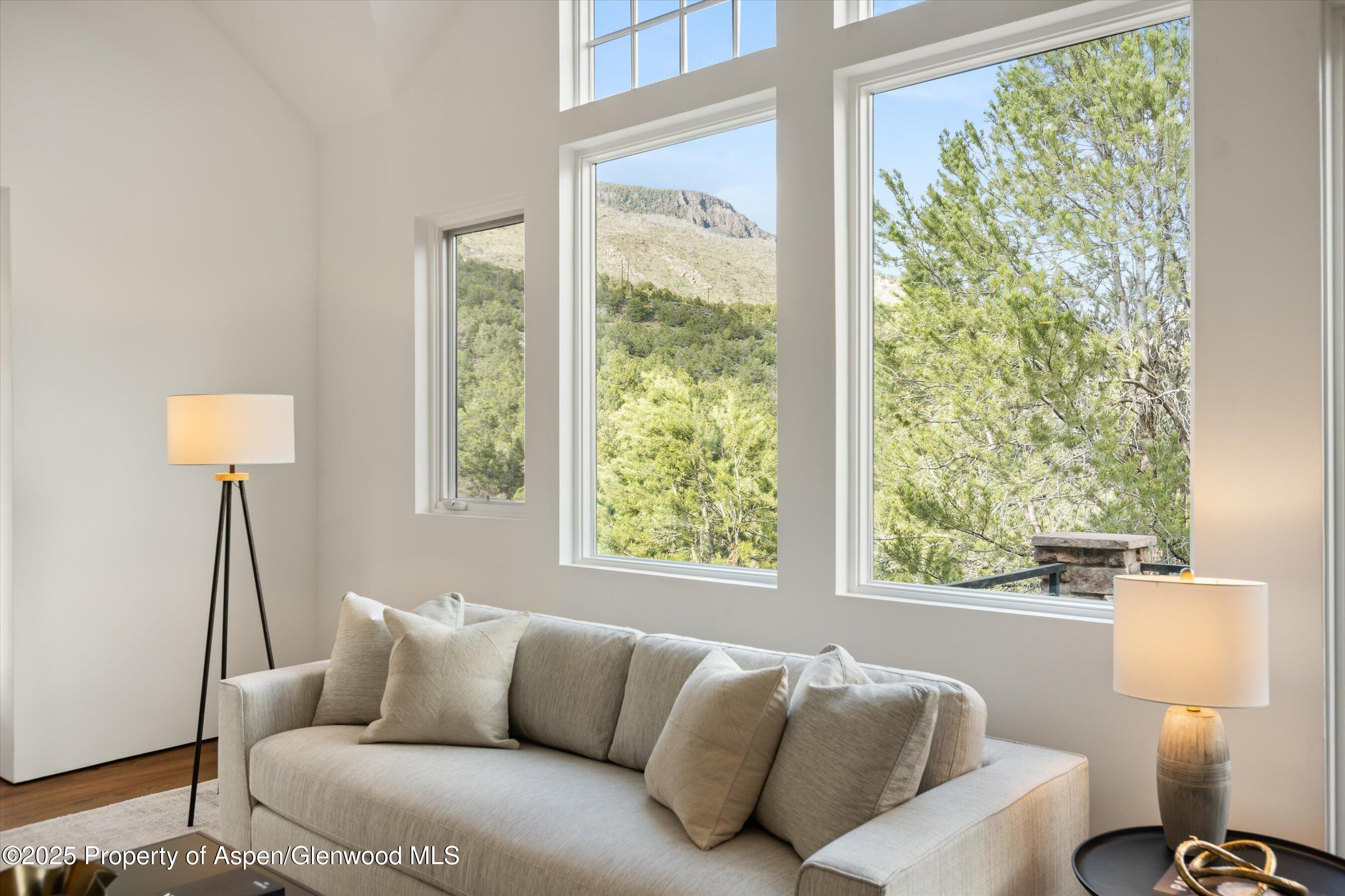 302 Wild Spring Lane Basalt, CO 81621 - Photo 22 of 28 a living room with furniture and a window