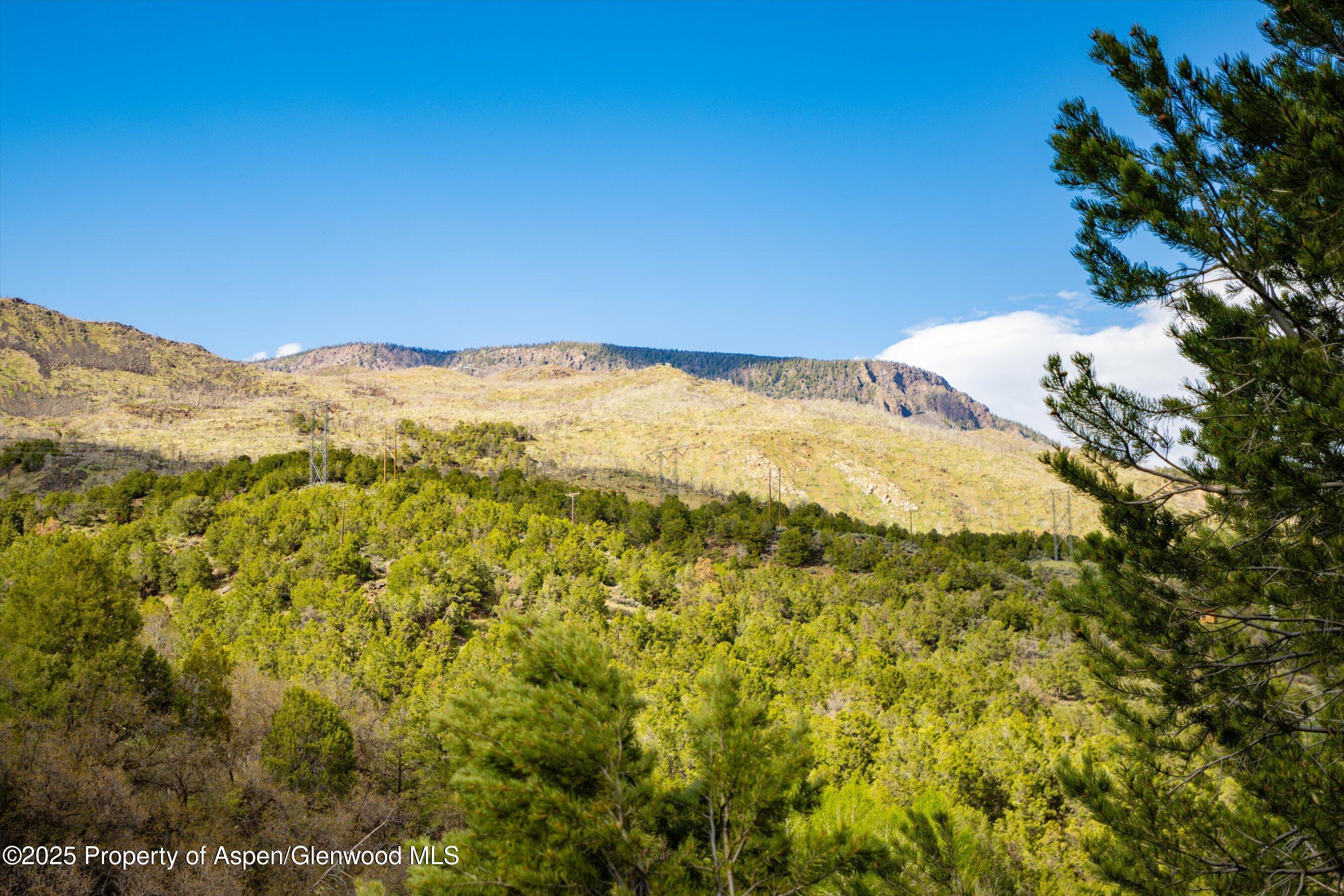 302 Wild Spring Lane Basalt, CO 81621 - Photo 28 of 28 a view of mountain