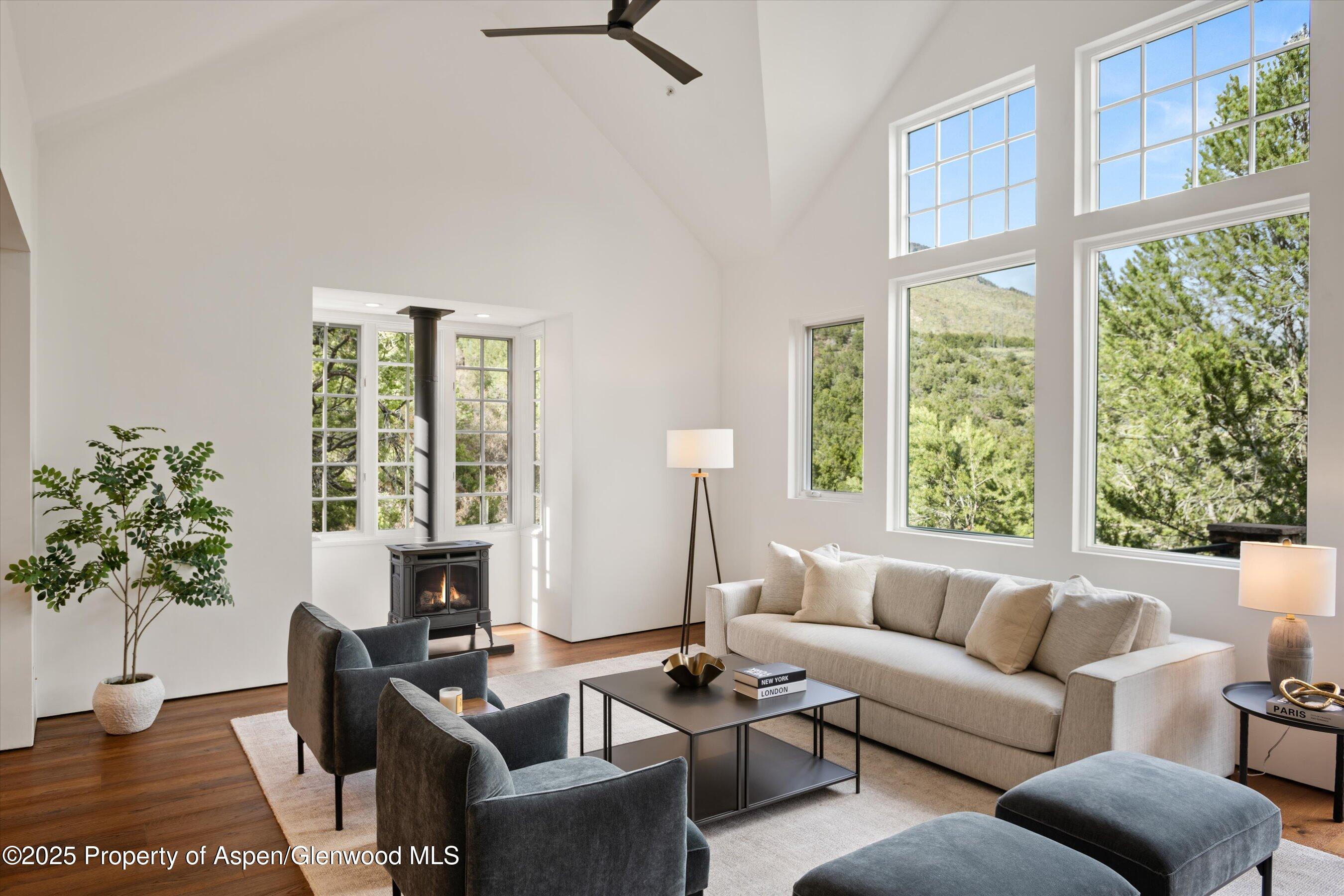 302 Wild Spring Lane Basalt, CO 81621 - Photo 5 of 28 a living room with furniture and a large window