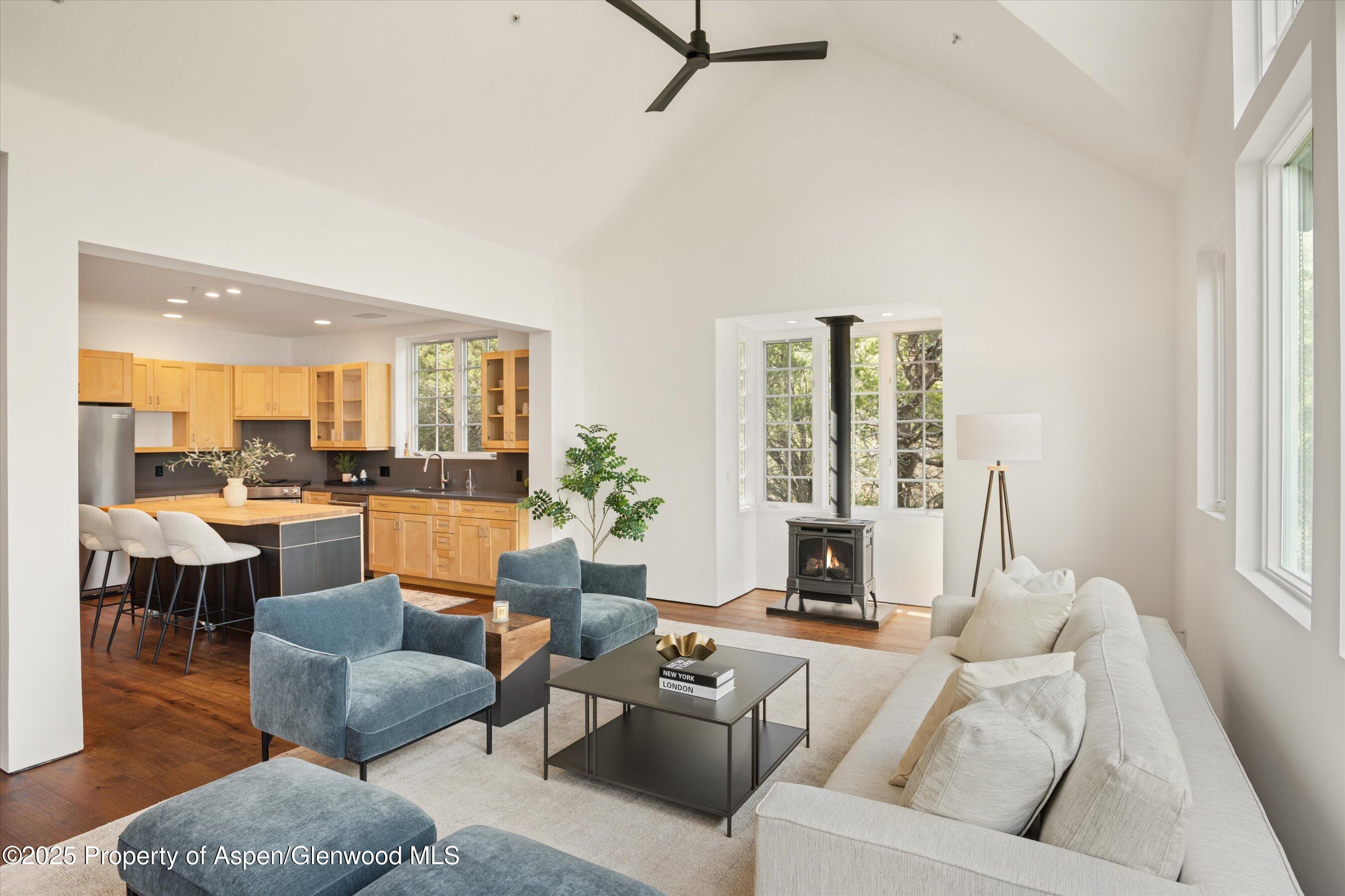302 Wild Spring Lane Basalt, CO 81621 - Photo 6 of 28 a living room with furniture and a large window