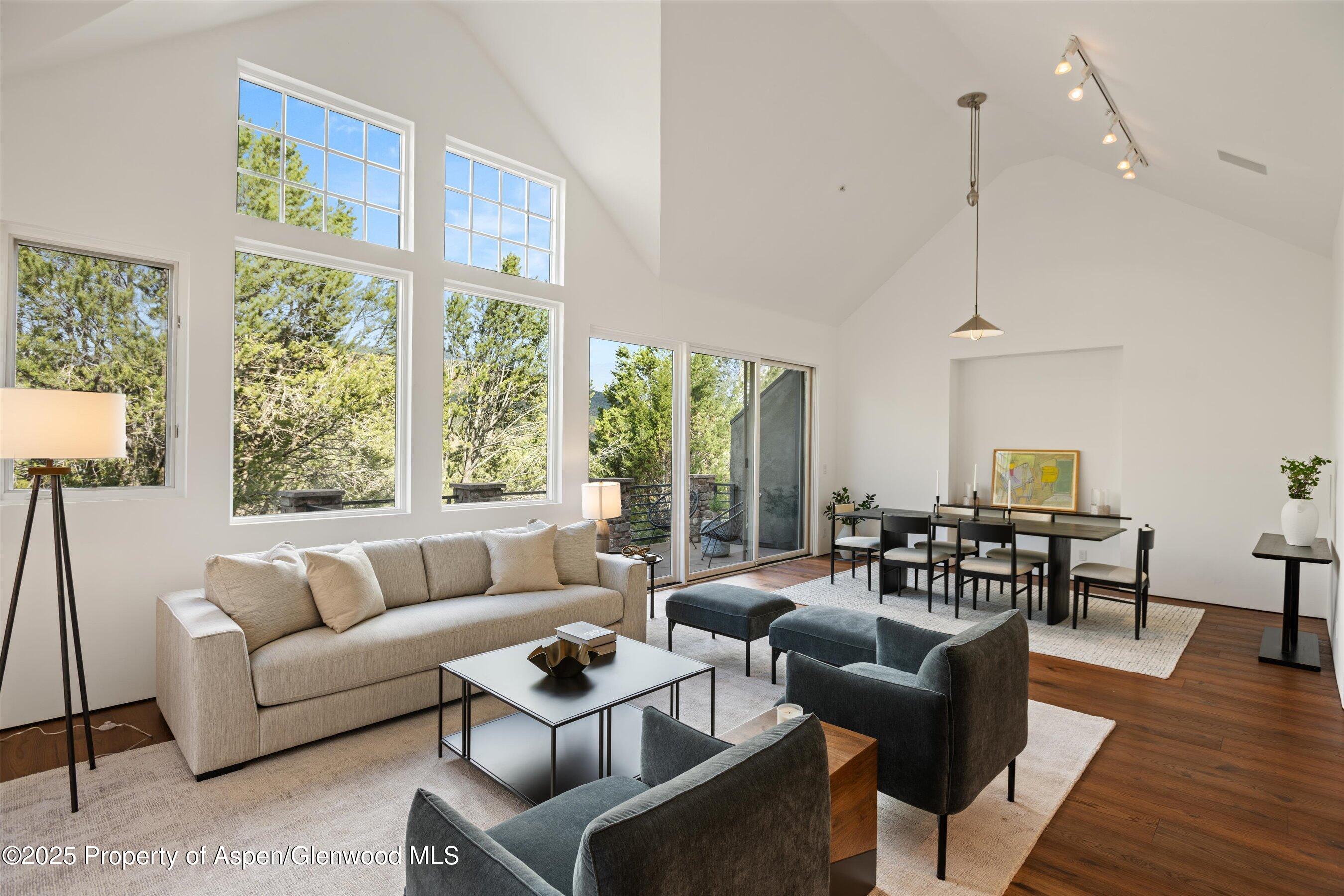 302 Wild Spring Lane Basalt, CO 81621 - Photo 8 of 28 a living room with furniture and a large window