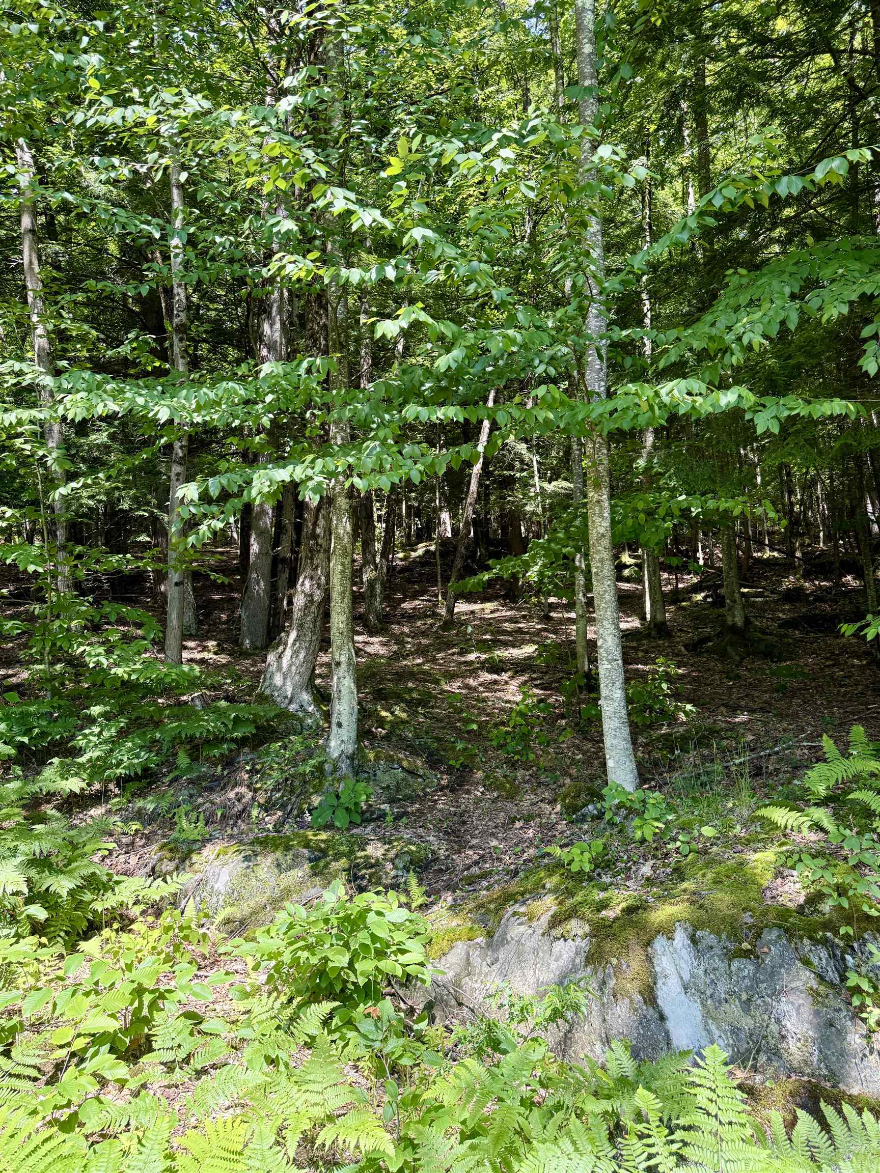 175 Sunset Rock Road Lebanon, NH 03766 - Photo 11 of 28