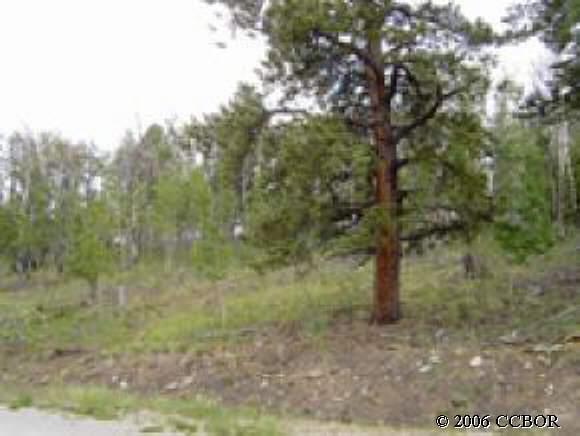 1392 Blacksmith Road Hartsel, CO 80449 - Photo 1 of 1 a view of a forest with trees in the background