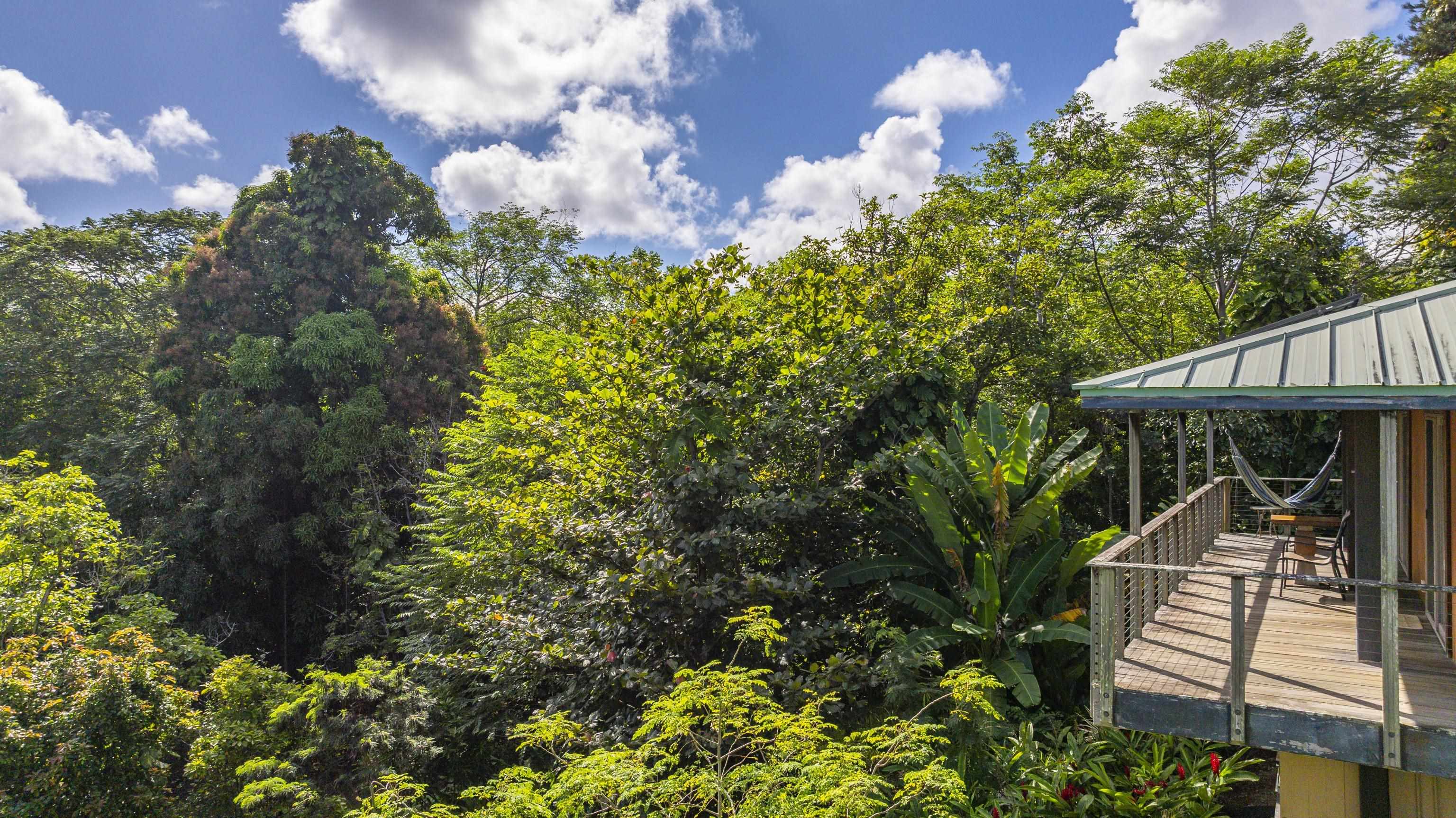 4685 Uakea Road Hana, HI 96713 - Photo 31 of 50