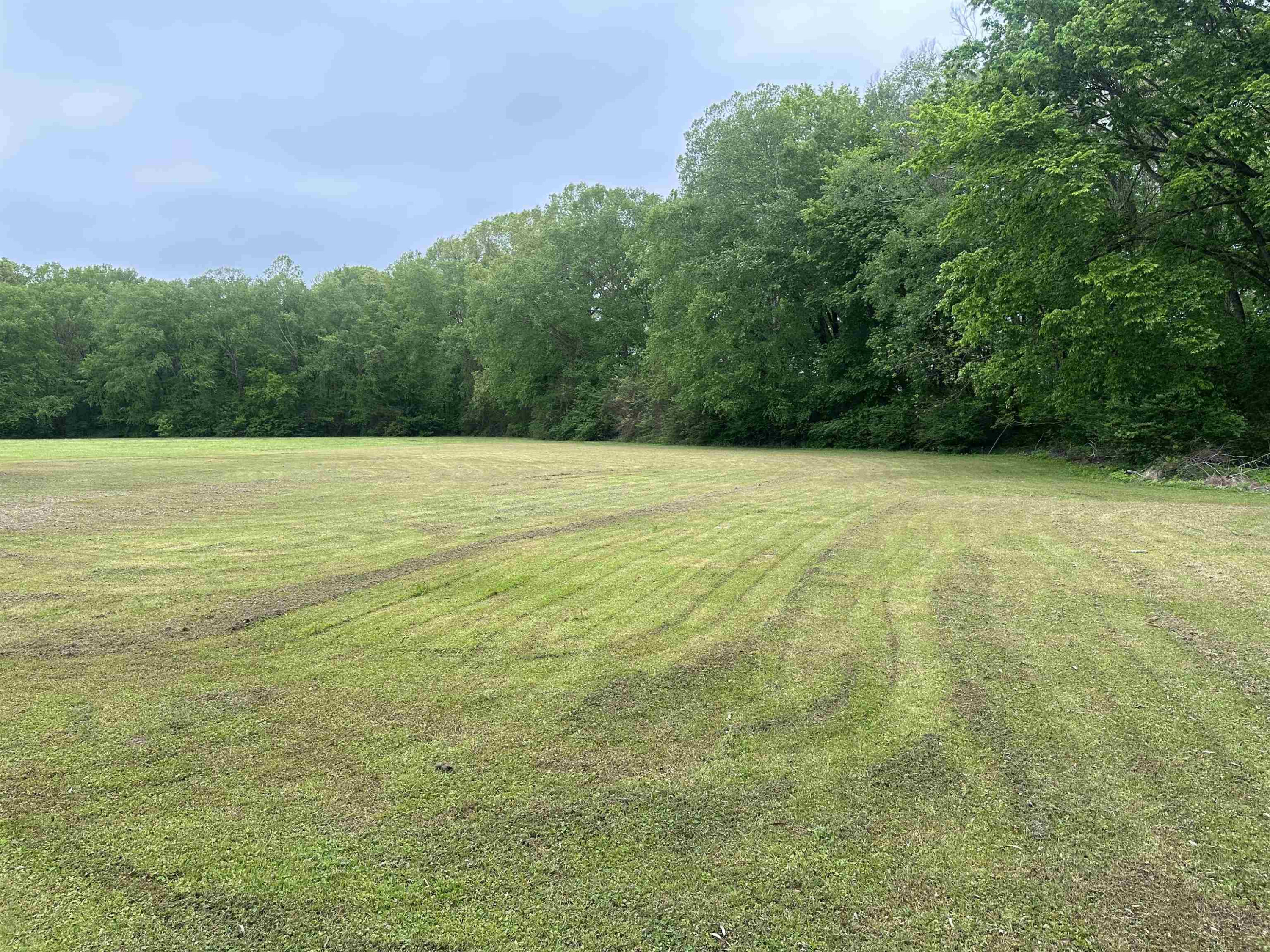 41 Chester Levee Road Jackson, TN 38301 - Photo 7 of 10 Photo 7