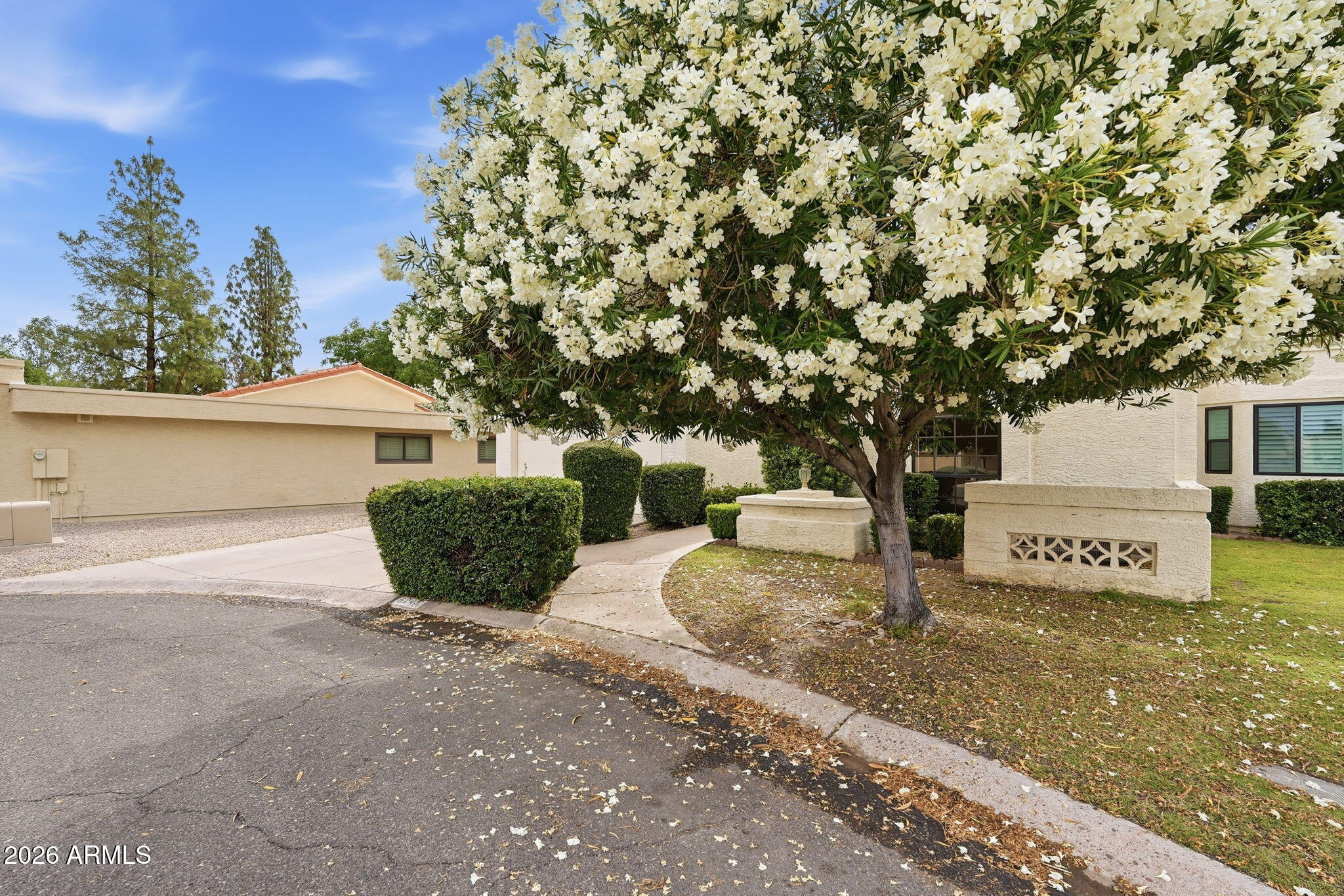 6245 East Phelps Road Scottsdale, AZ 85254 - Photo 3 of 47 003_ListerPros