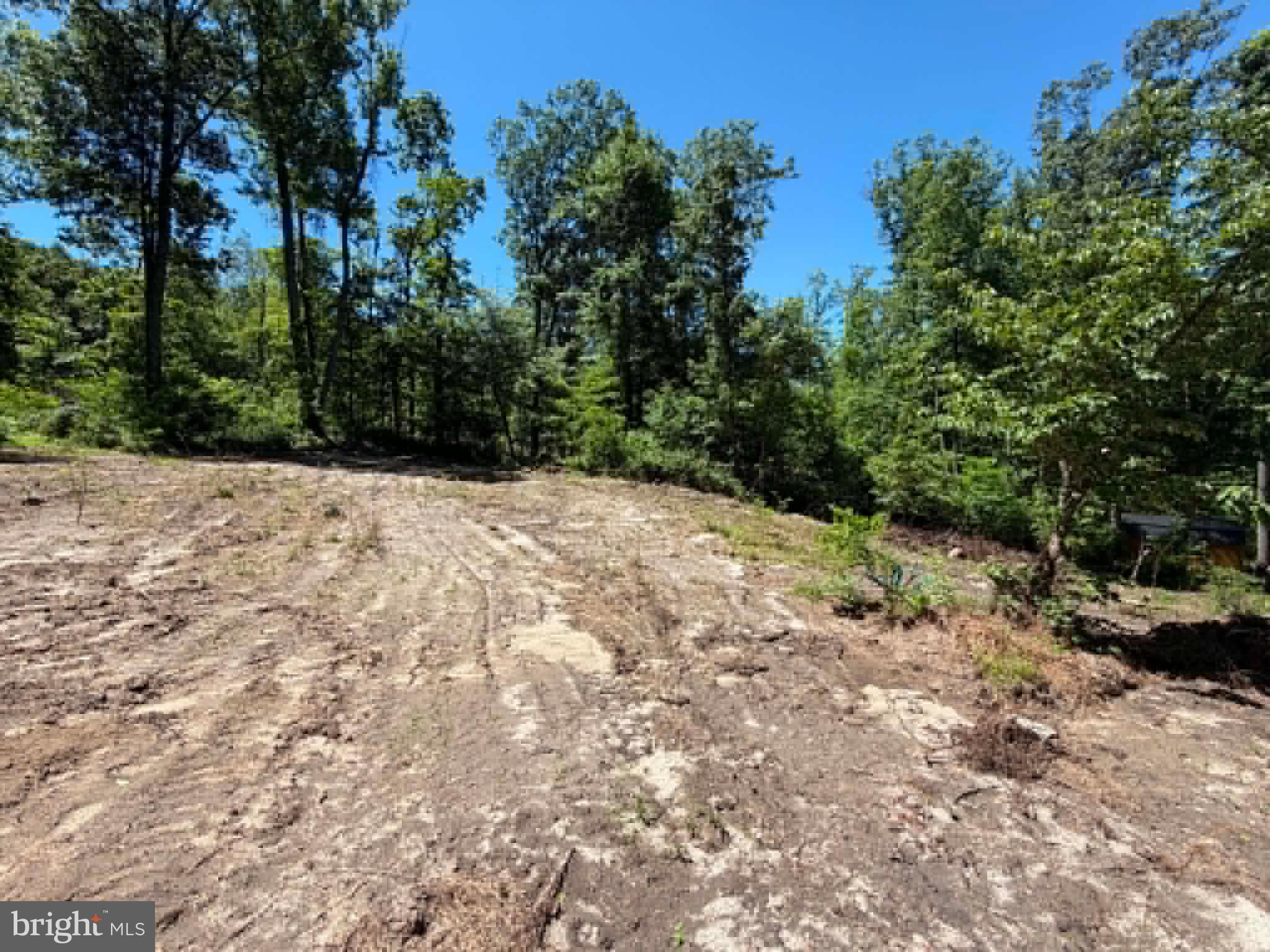 51 Cabin Road Augusta, WV 26704 - Photo 6 of 19