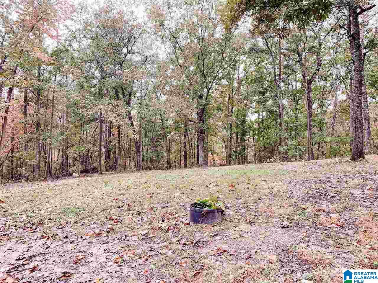 281 Colvin Springs Road Ashville, AL 35953 - Photo 6 of 34