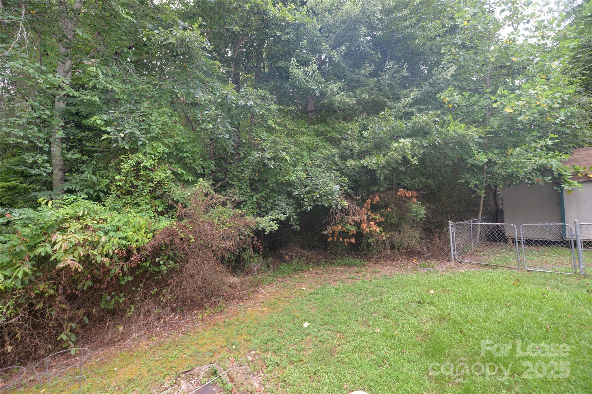 735 Seven Springs Way Denver, NC 28037 - Photo 4 of 11 a view of outdoor space and yard