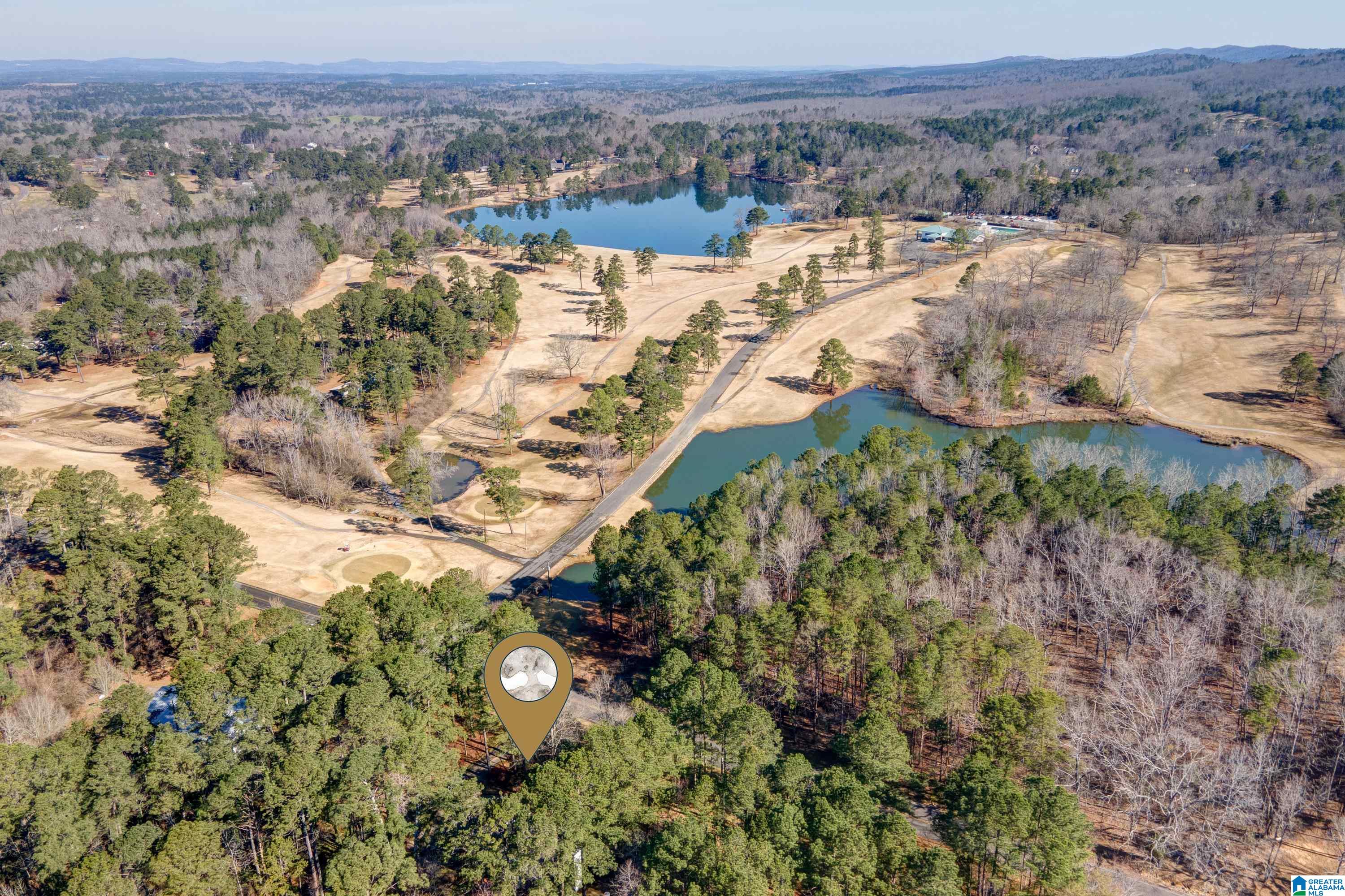 8970 Marsh Mountain Road Pinson, AL 35126 - Photo 36 of 48