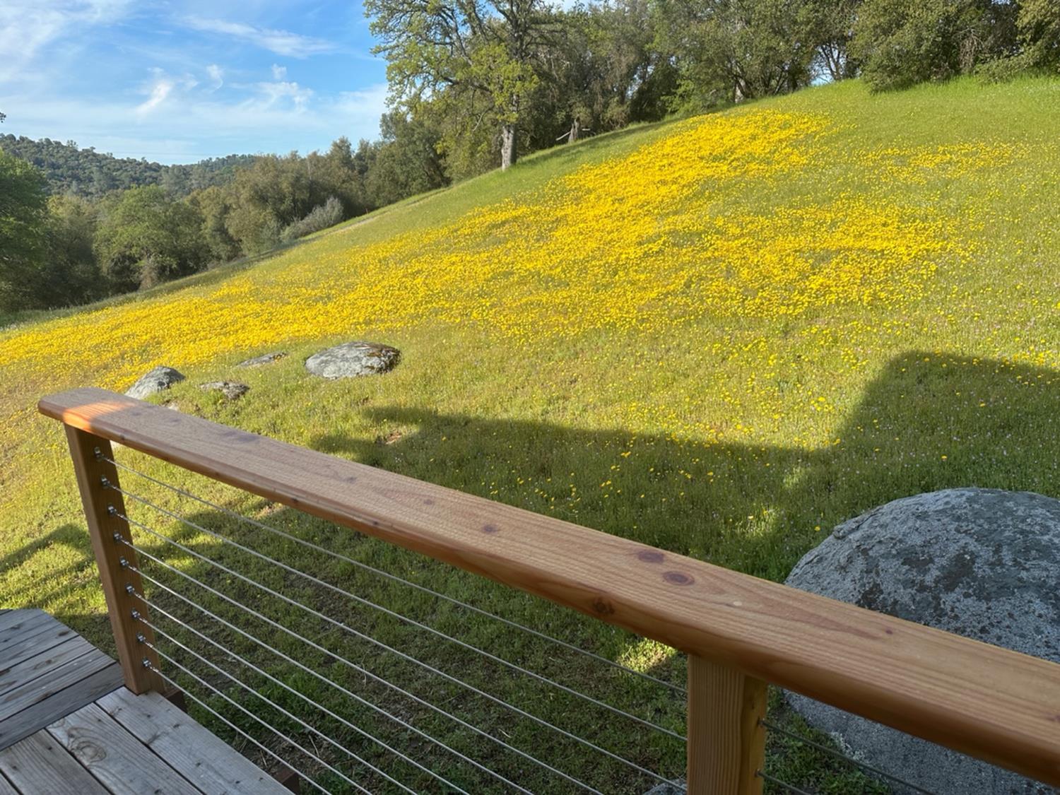 4052 Indian Peak Road Mariposa, CA 95338 - Photo 11 of 50