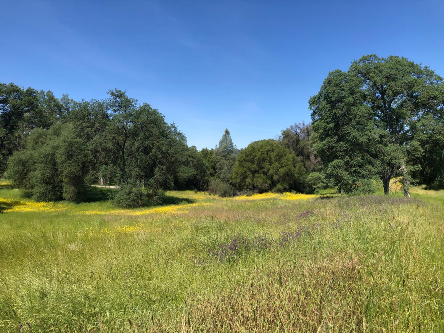 4052 Indian Peak Road Mariposa, CA 95338 - Photo 48 of 50