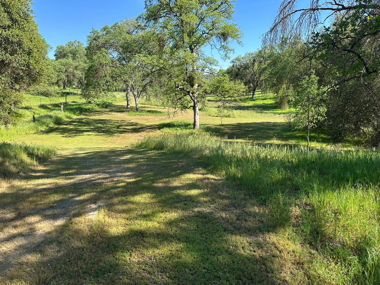 4052 Indian Peak Road Mariposa, CA 95338 - Photo 49 of 50