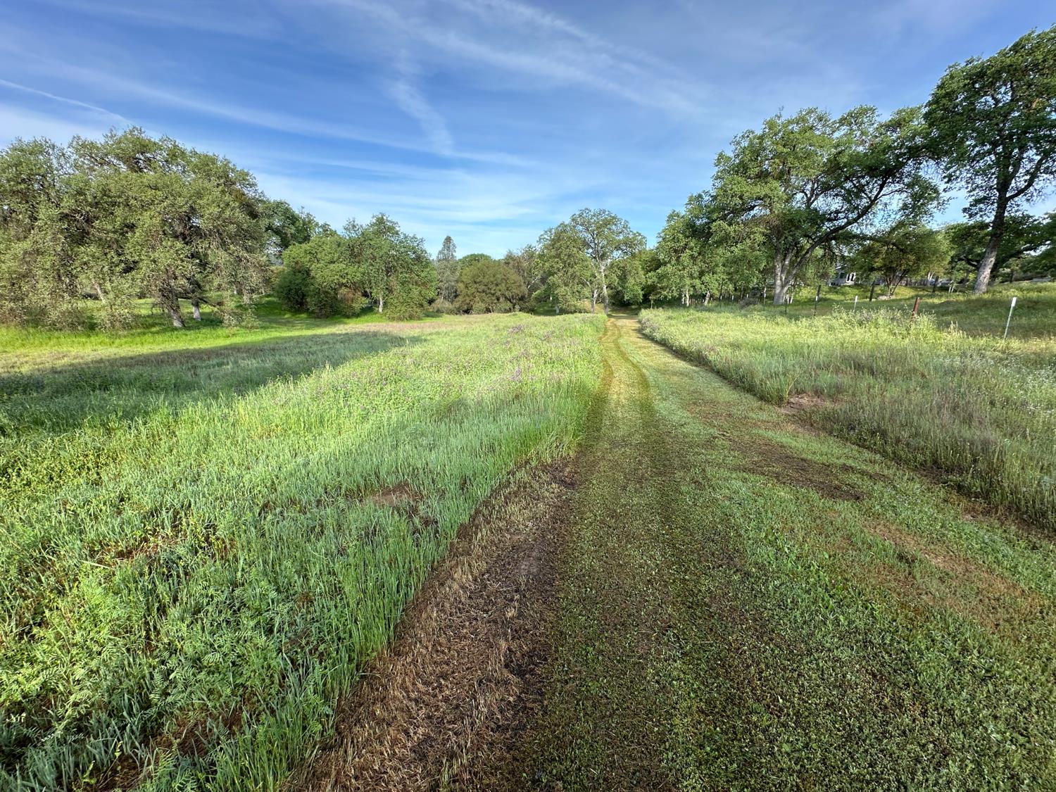 4052 Indian Peak Road Mariposa, CA 95338 - Photo 50 of 50
