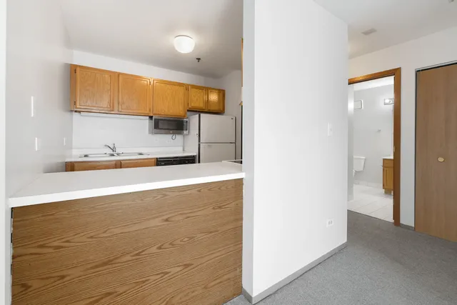 $175,900 | 3255 Kirchoff Road, Unit 306, Rolling Meadows, IL 60008