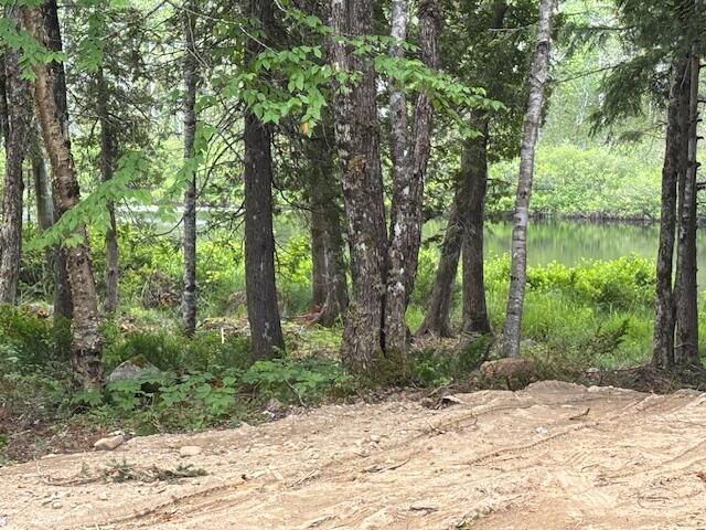 0 Dead Streme Cooper, ME 04657 - Photo 5 of 8