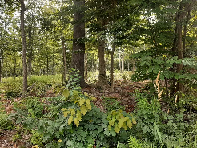 $45,000 | Lot 3 Ohio Street, Glenburn, ME 04401