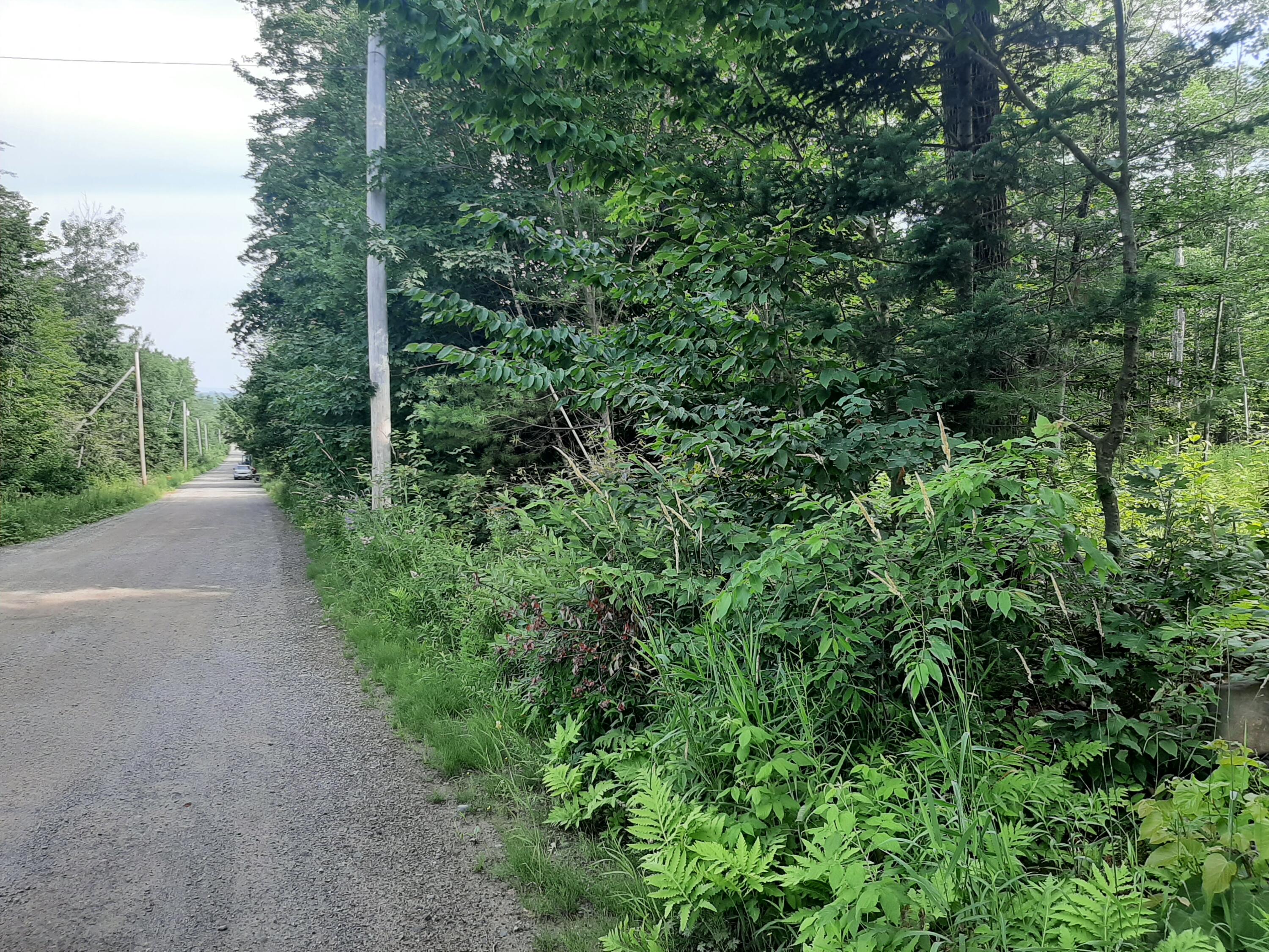 Lot 3 Ohio Street Glenburn, ME 04401 - Photo 2 of 3 20230713_084537