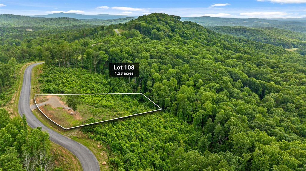 Lot 108 Twisted Oak Road Talking Rock, GA 30175 - Photo 10 of 29
