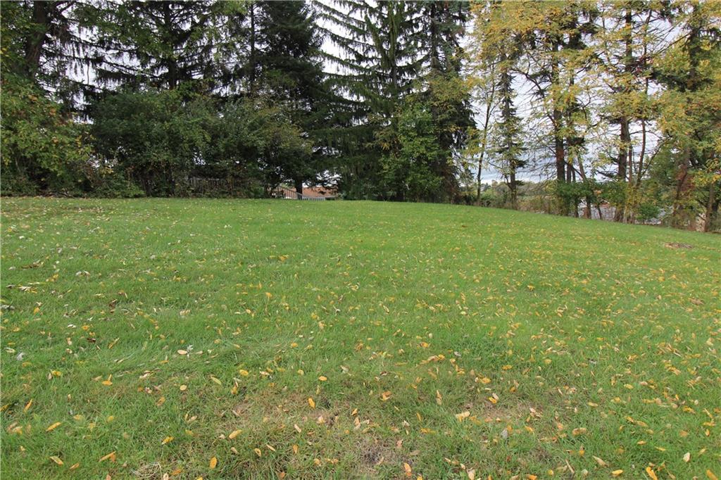 106 Flicker Drive McKees Rocks, PA 15136 - Photo 4 of 17 Spacious yard