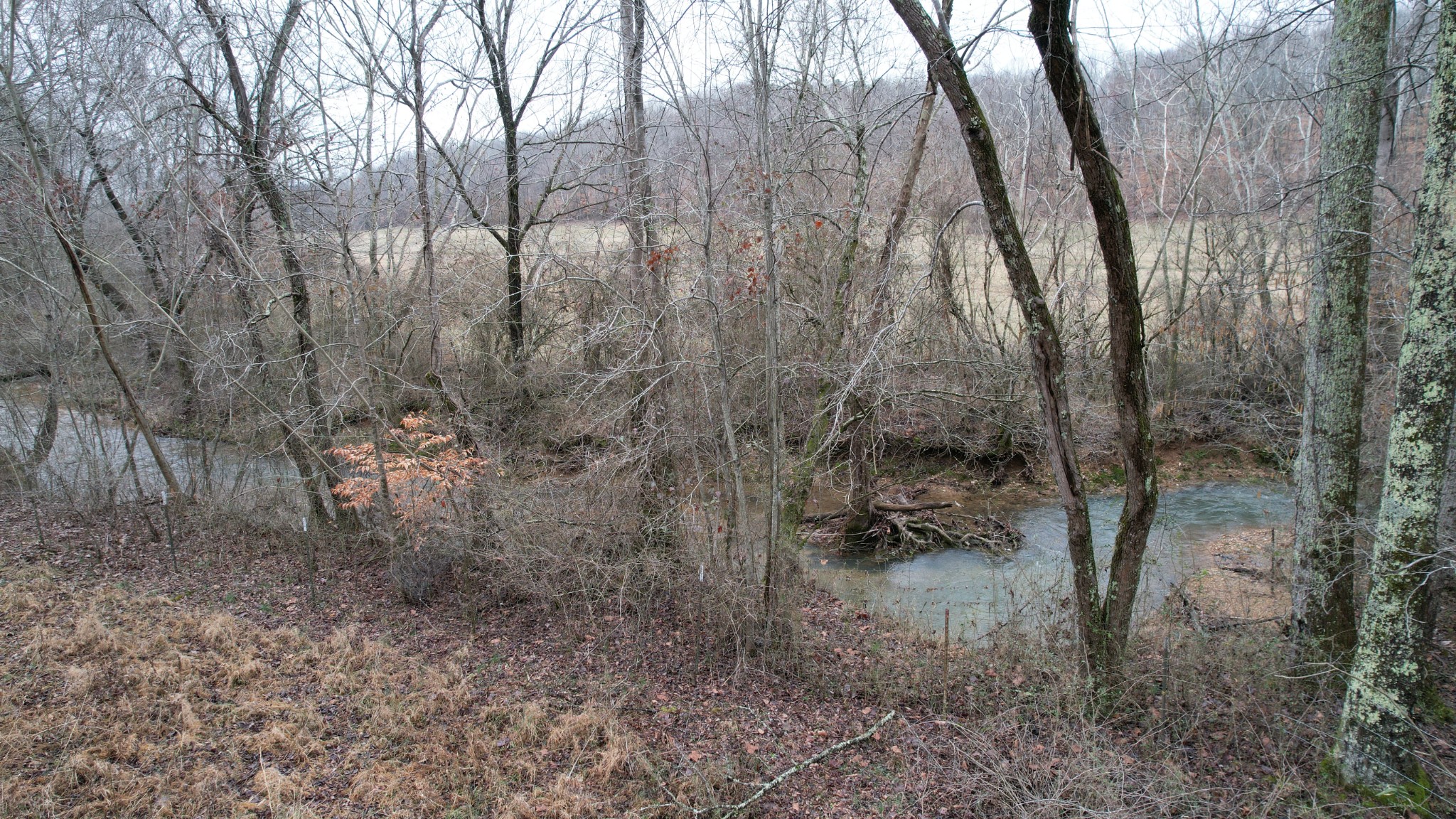 1121 Cook Road Iron City, TN 38463 - Photo 3 of 31 Gallery Image 3