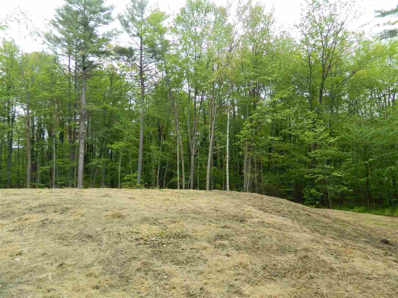 338 Shaw Road Northfield, NH 03276 - Photo 27 of 27