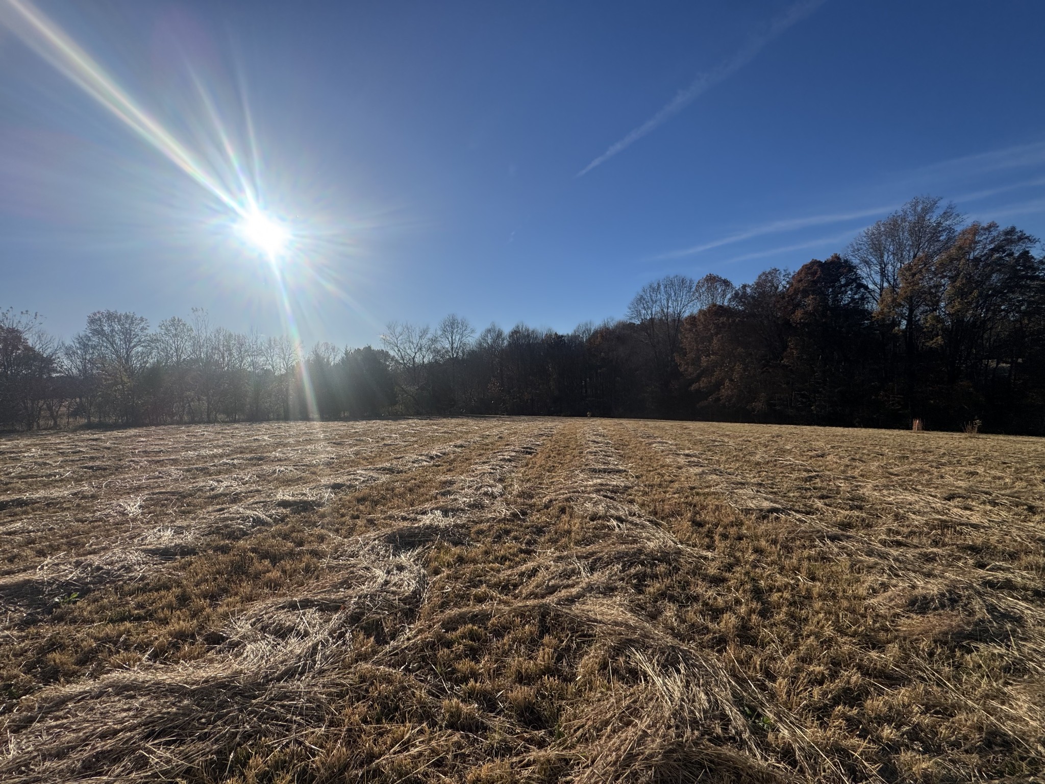 0 Pleasant Grove Road Westmoreland, TN 37186 - Photo 8 of 10 a view of lake and mountain