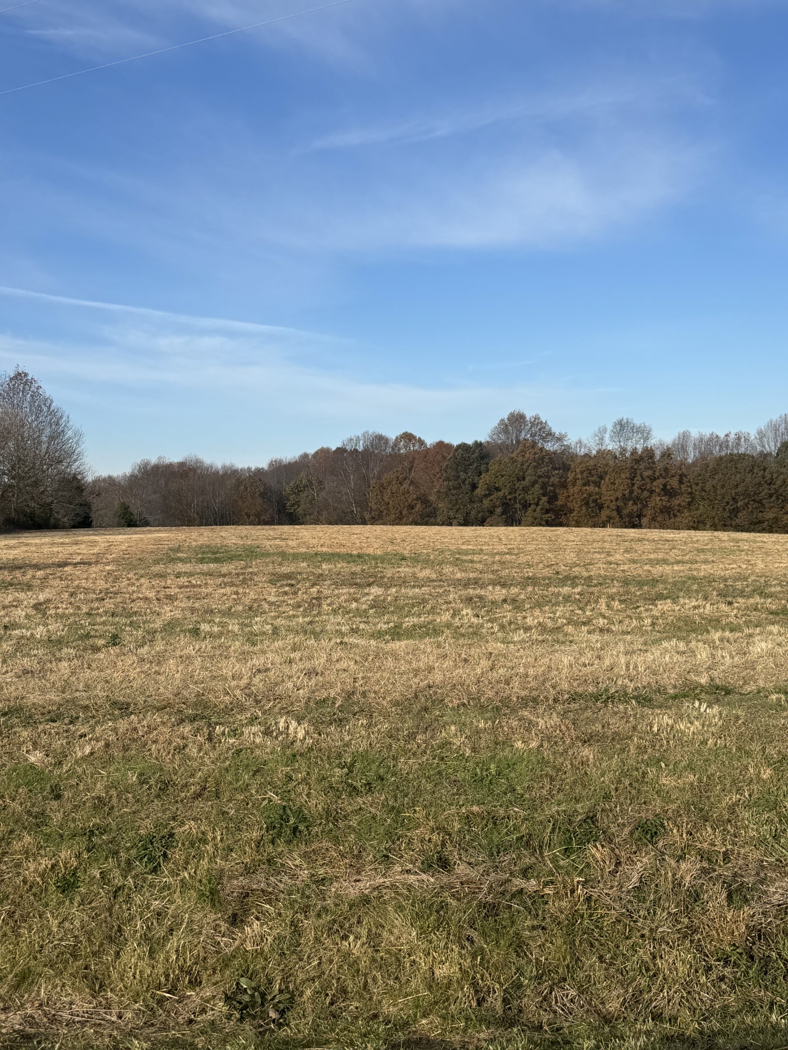 0 Pleasant Grove Road Westmoreland, TN 37186 - Photo 9 of 10 a view of lake