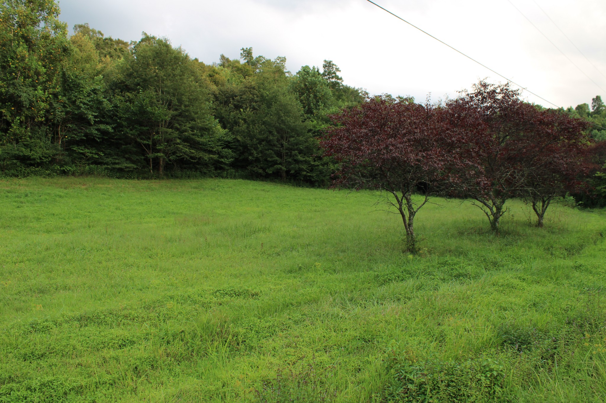 1107 Briar Pond Road Centerville, TN 37033 - Photo 2 of 7 Gallery Image 2