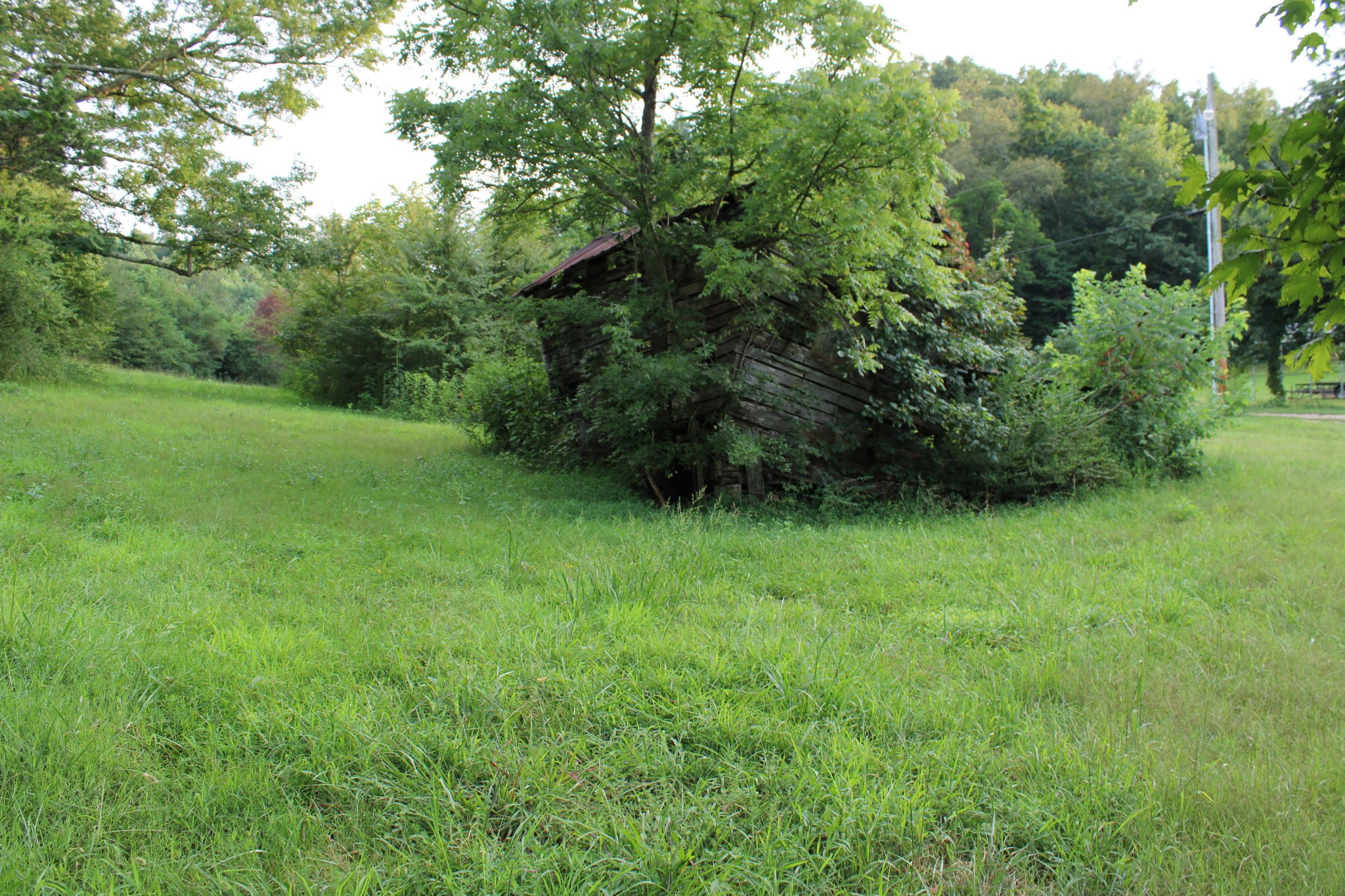 1107 Briar Pond Road Centerville, TN 37033 - Photo 3 of 7 Gallery Image 3
