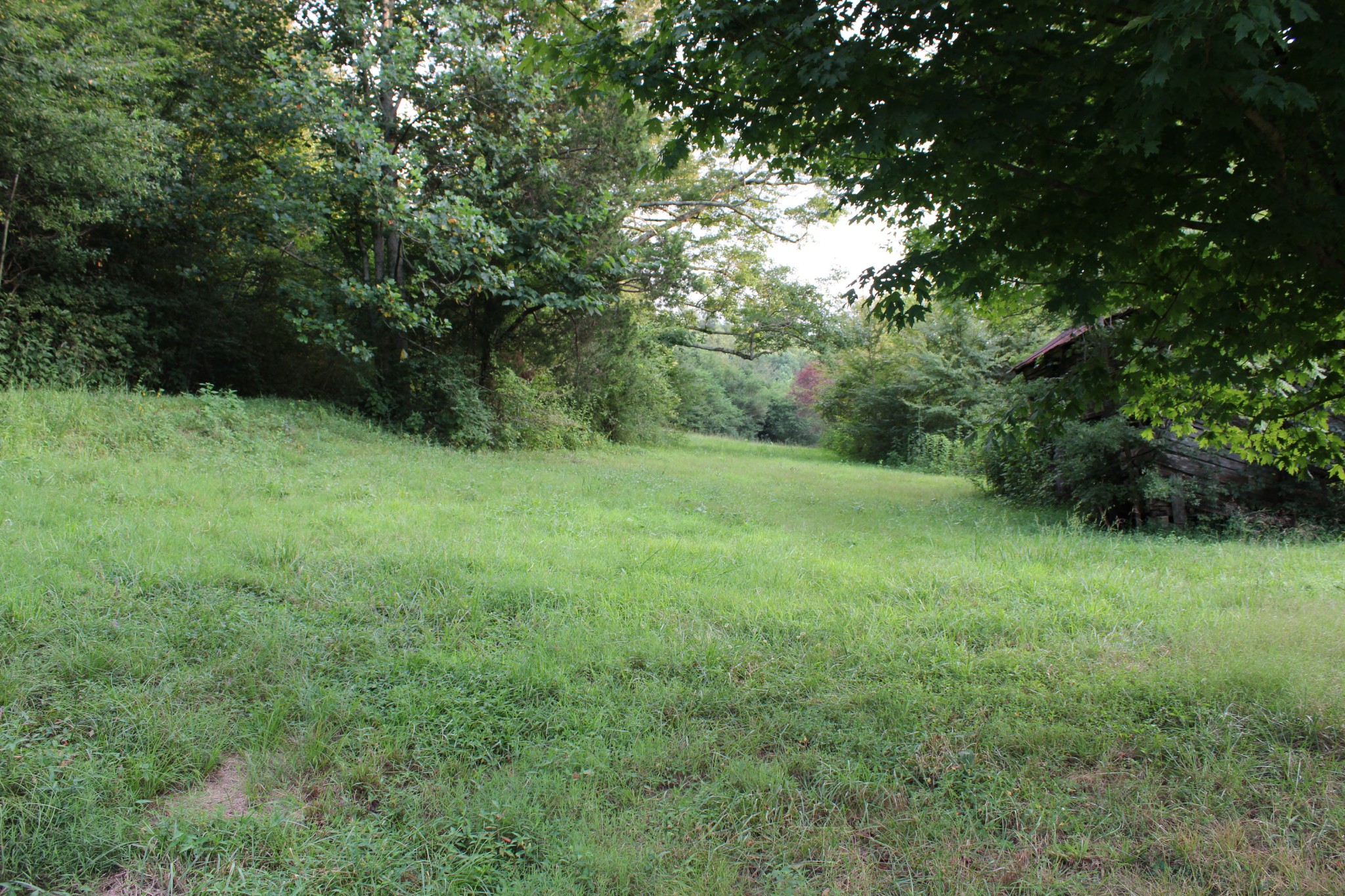 1107 Briar Pond Road Centerville, TN 37033 - Photo 4 of 7 Gallery Image 4