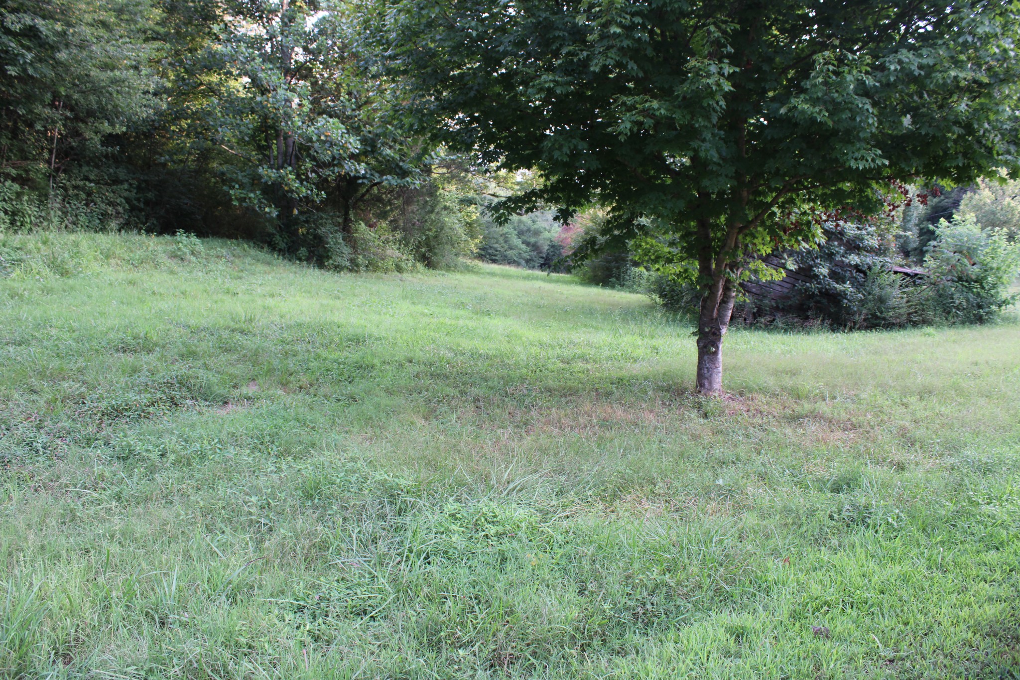 1107 Briar Pond Road Centerville, TN 37033 - Photo 5 of 7 Gallery Image 5