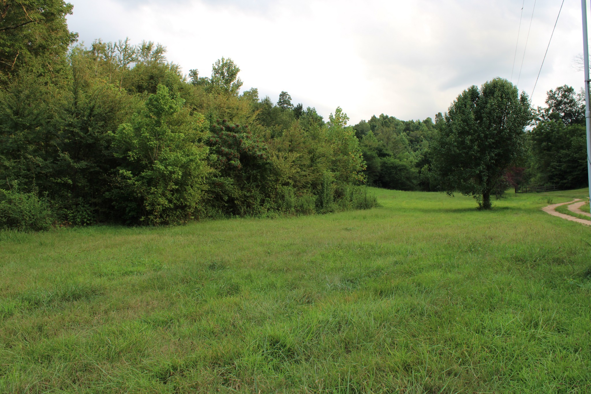 1107 Briar Pond Road Centerville, TN 37033 - Photo 6 of 7 Gallery Image 6