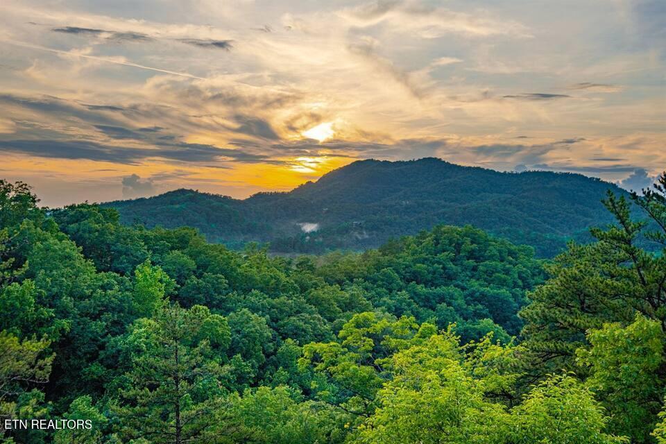 3321 Grouse Ridge Lane Sevierville, TN 37862 - Photo 35 of 36 88eb4ab8-132f-4893-b15a-9bc631ee2bf4
