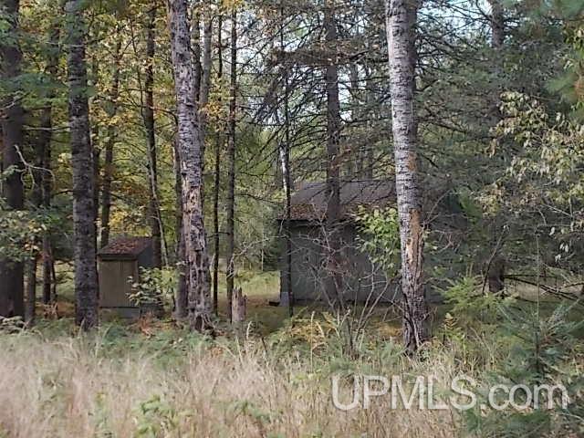 4125-4151 Thompson Road Florence, WI 54121 - Photo 11 of 14 Gallery Image 11