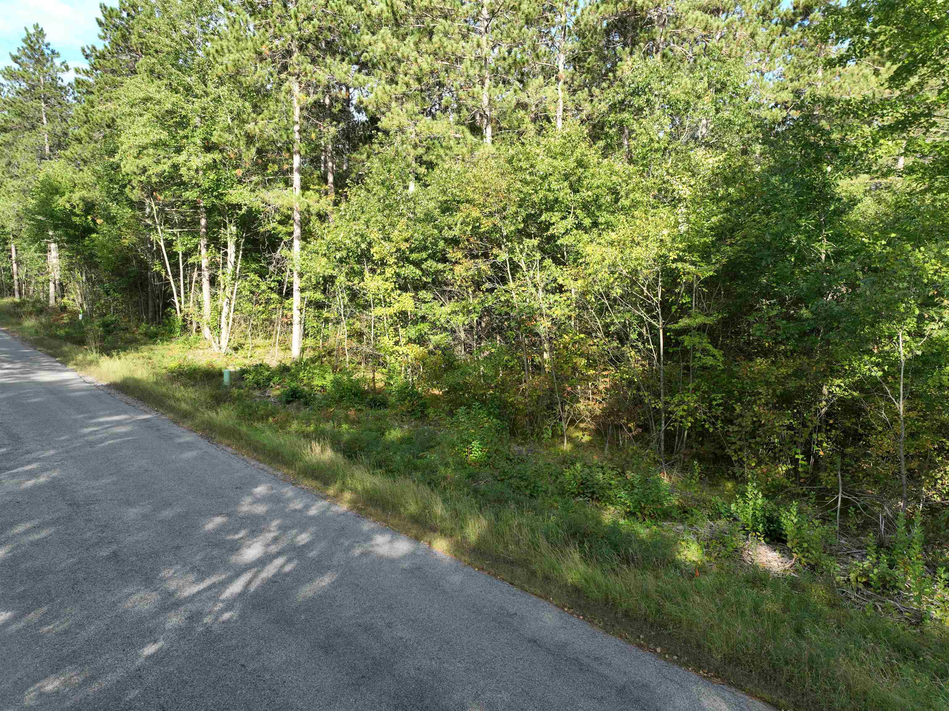 Lot 4 Scout Road Mosinee, WI 54455 - Photo 8 of 9 Gallery Image 8