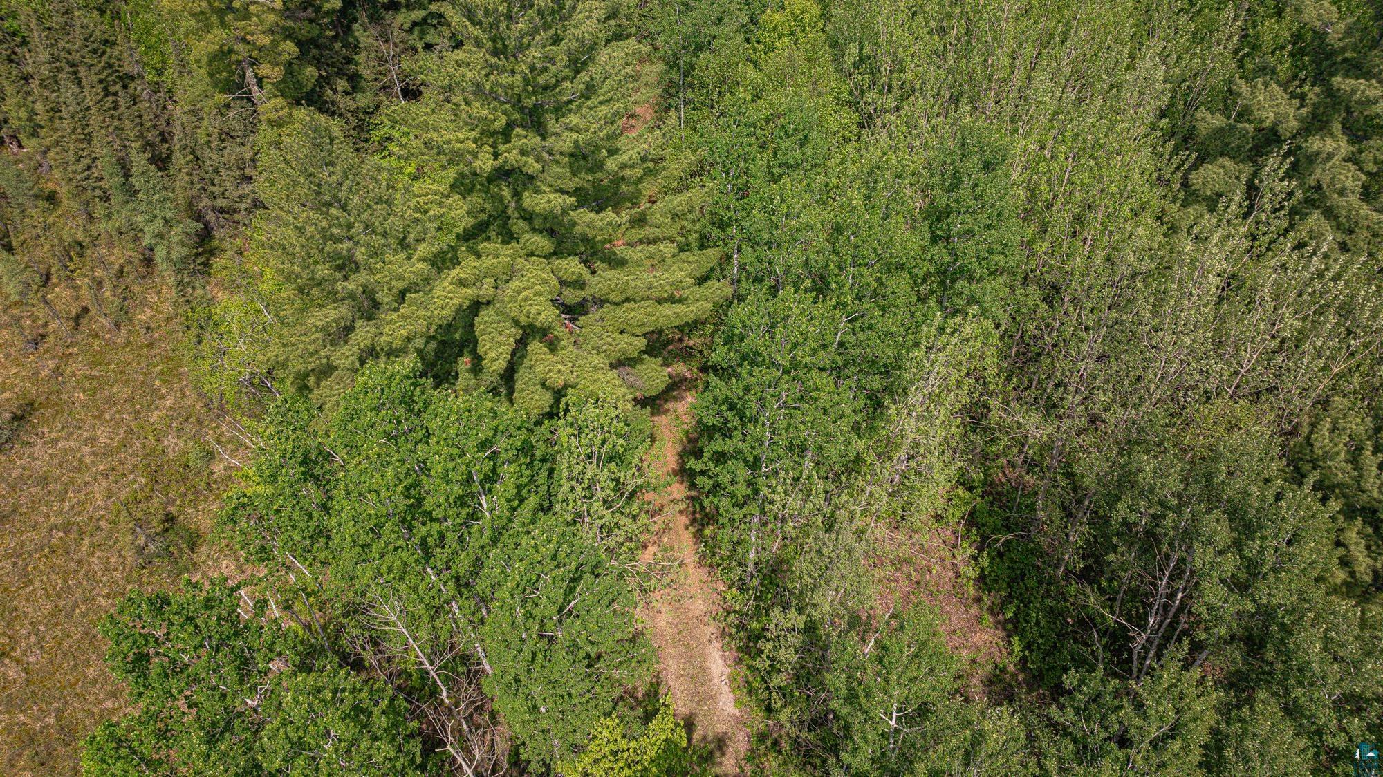 Tbd Tbd Muckwa Lake Road Babbitt, MN 55706 - Photo 47 of 54