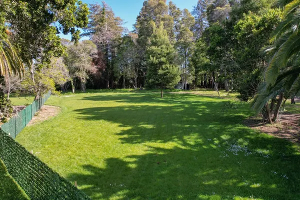 a view of a grassy field with trees all around