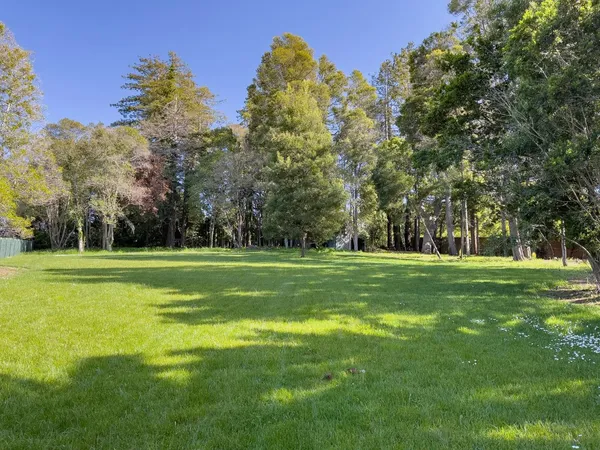 a view of a park with large trees