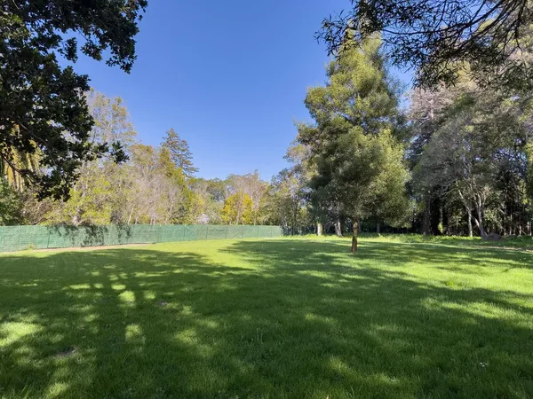 a big yard with lots of green space