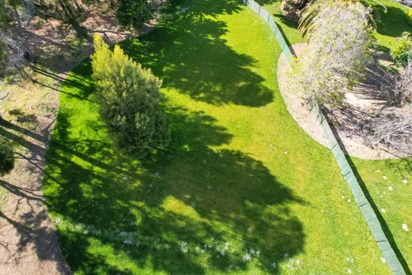 a view of yard from a window