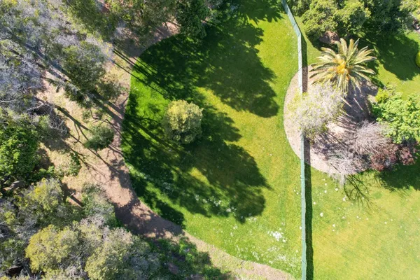 a view of a garden