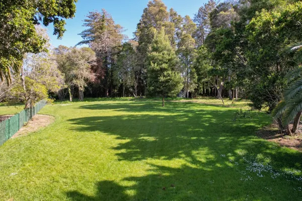 a view of a park with large trees