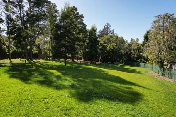 a view of a park with large trees