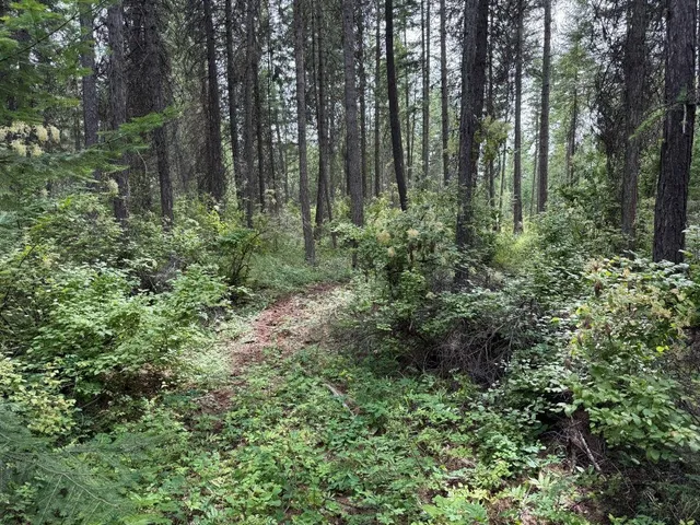 $60,000 | Lot 2 Springdale Hunters Road, Springdale, WA 99173