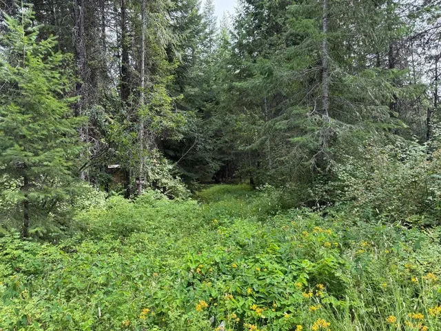 $60,000 | Lot 2 Springdale Hunters Road, Springdale, WA 99173