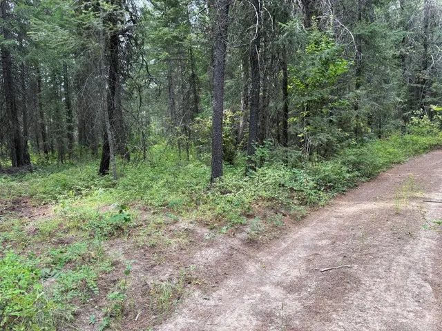$60,000 | Lot 2 Springdale Hunters Road, Springdale, WA 99173