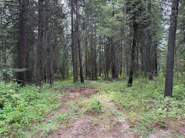 $60,000 | Lot 2 Springdale Hunters Road, Springdale, WA 99173